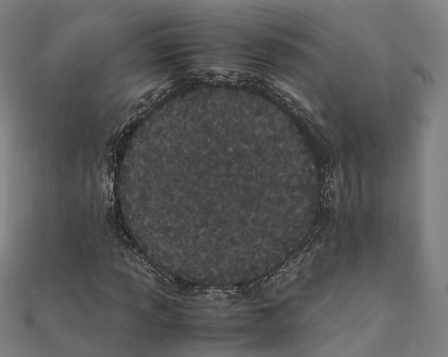 X0000111431013200908101112