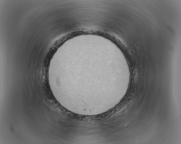 X0000111431016200908101112