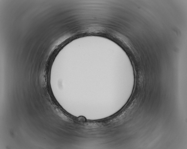 X0000111431018200908101112
