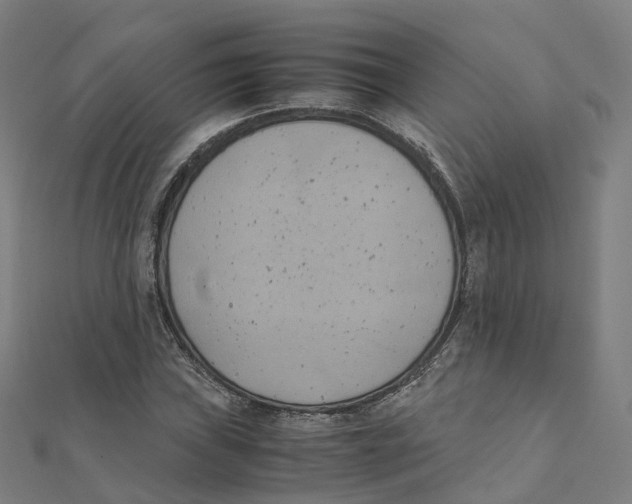 X0000111431019200908101112