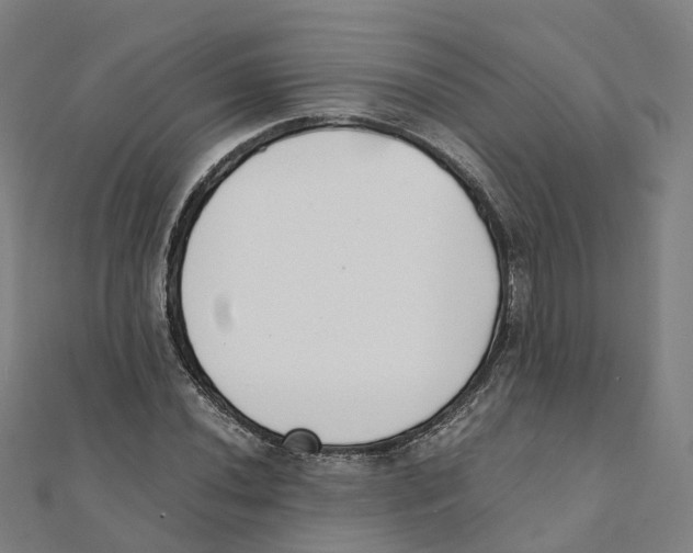 X0000111431020200908101112