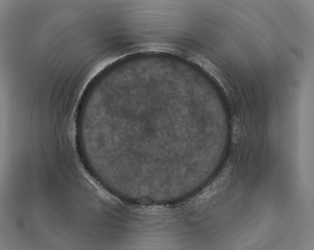 X0000111431024200908101112
