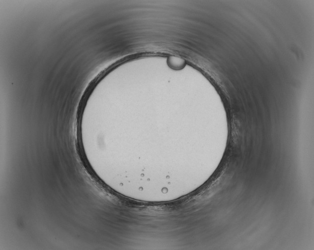 X0000111431028200908101112