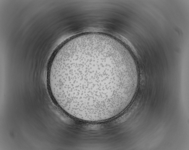X0000111431035200908101112