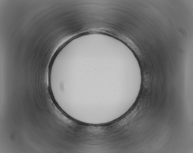 X0000111431036200908101112