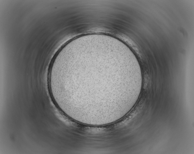 X0000111431039200908101112