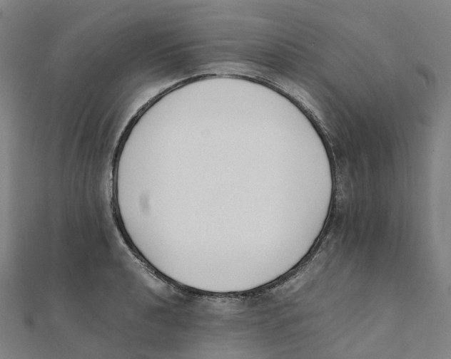 X0000111431040200908101112
