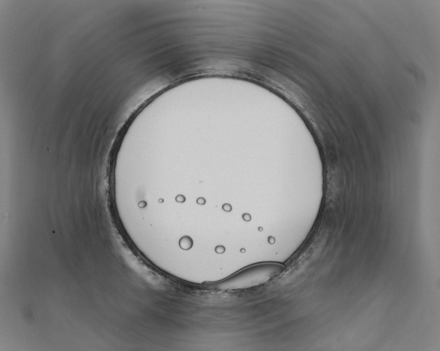 X0000111431042200908101112