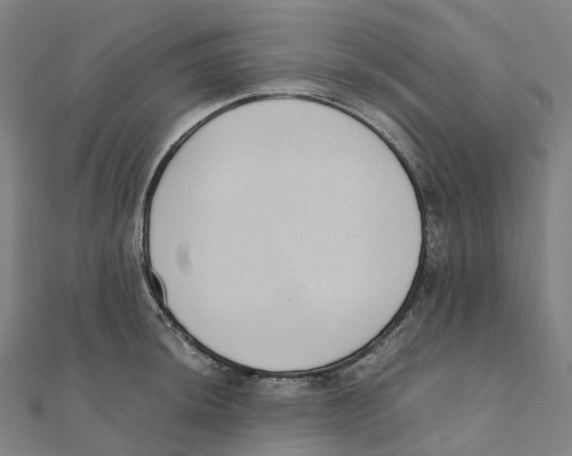 X0000111431044200908101112