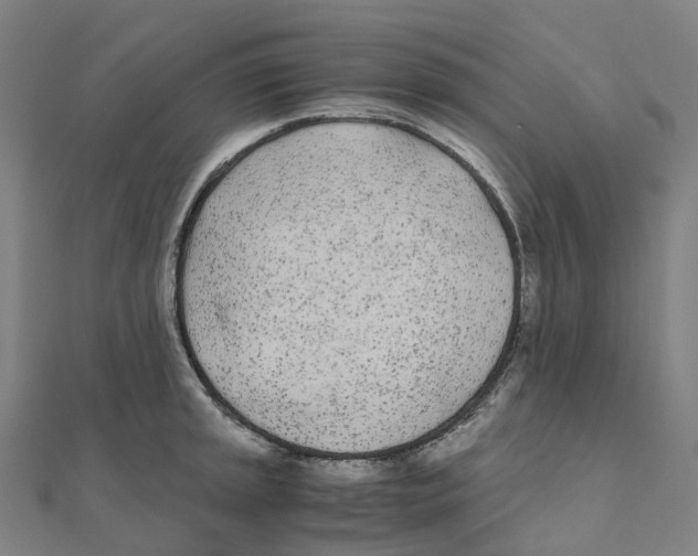 X0000111431045200908101112