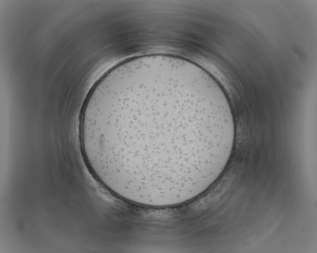 X0000111431047200908101112