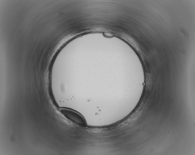 X0000111431048200908101112