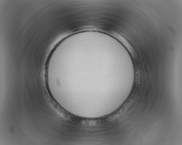 X0000111431051200908101112