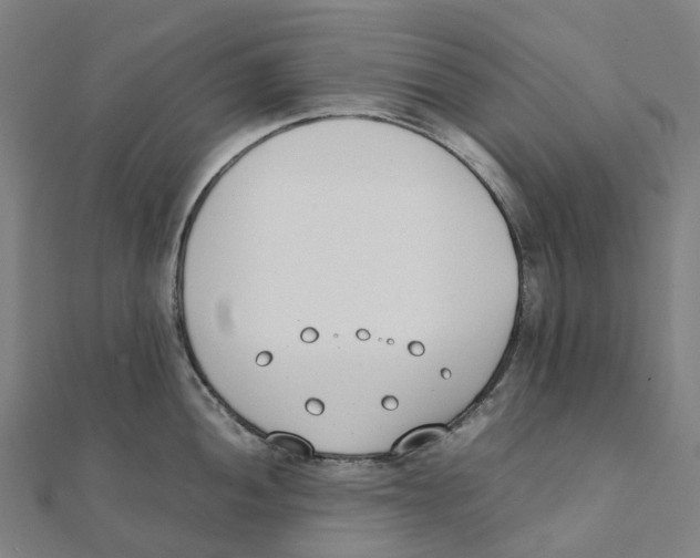 X0000111431052200908101112
