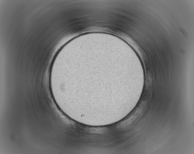 X0000111431053200908101112