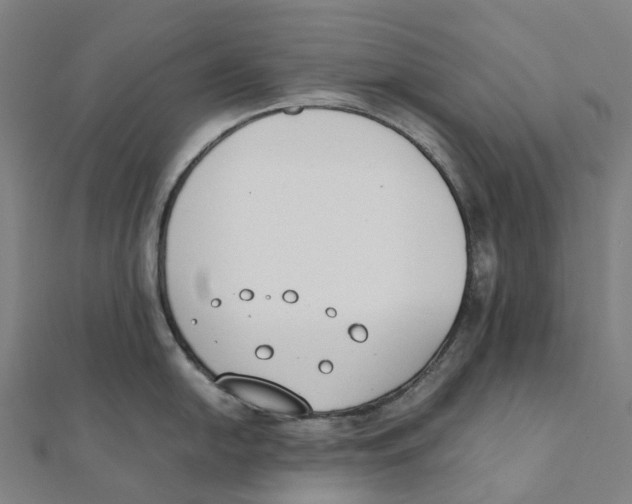 X0000111431054200908101112