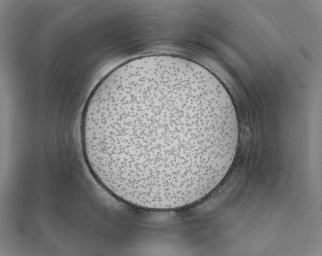 X0000111431055200908101112