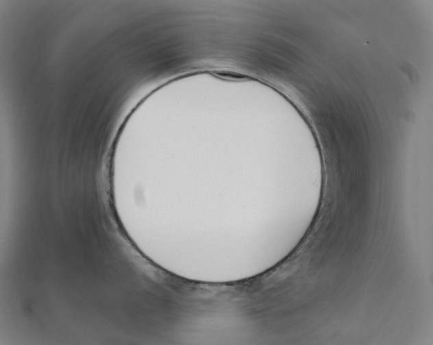X0000111431056200908101112