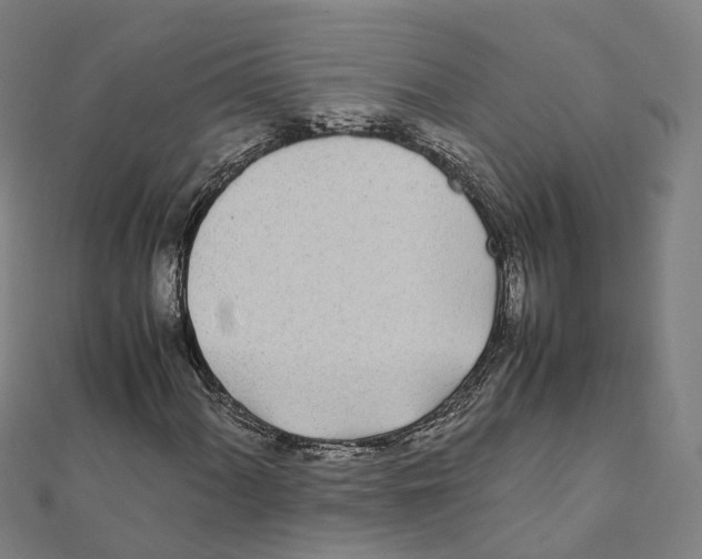 X0000111431060200908101111