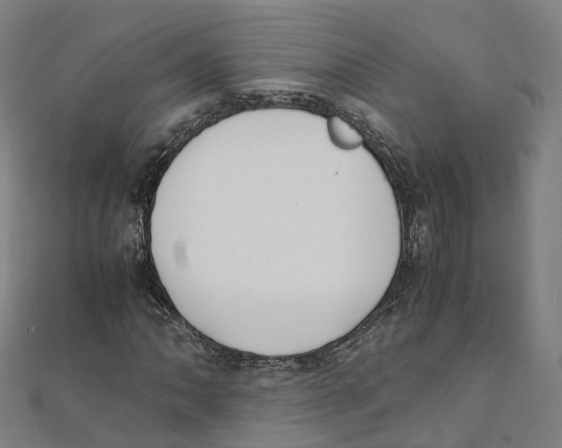 X0000111431062200908101111