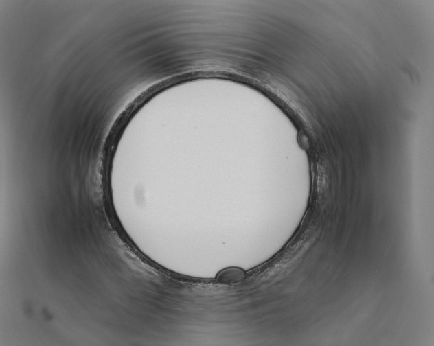 X0000111431068200908101111