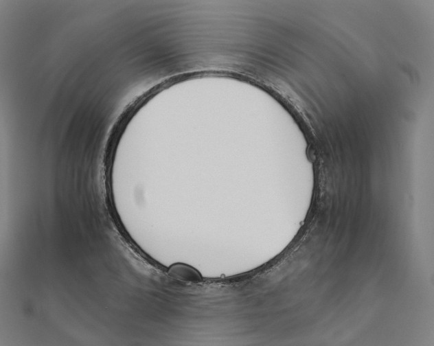 X0000111431072200908101111