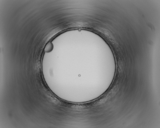 X0000111431073200908101111