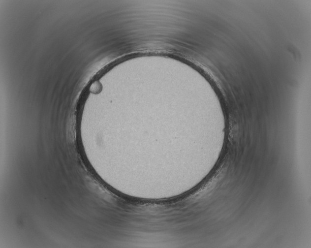 X0000111431075200908101111