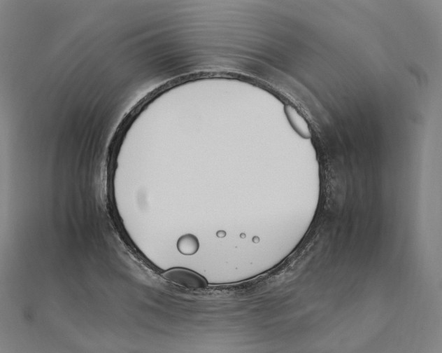 X0000111431076200908101111