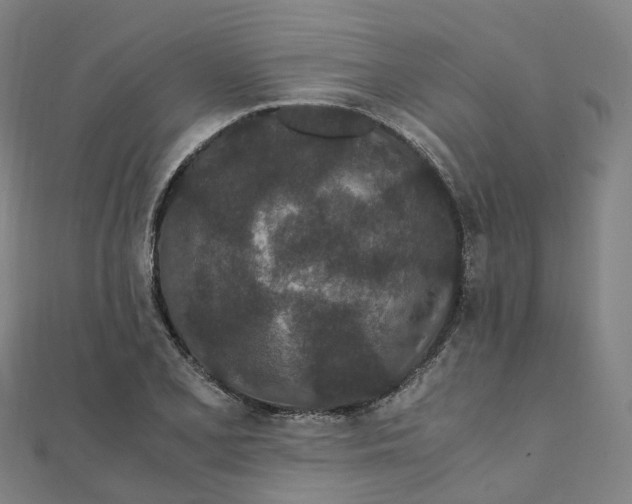 X0000111431077200908101111