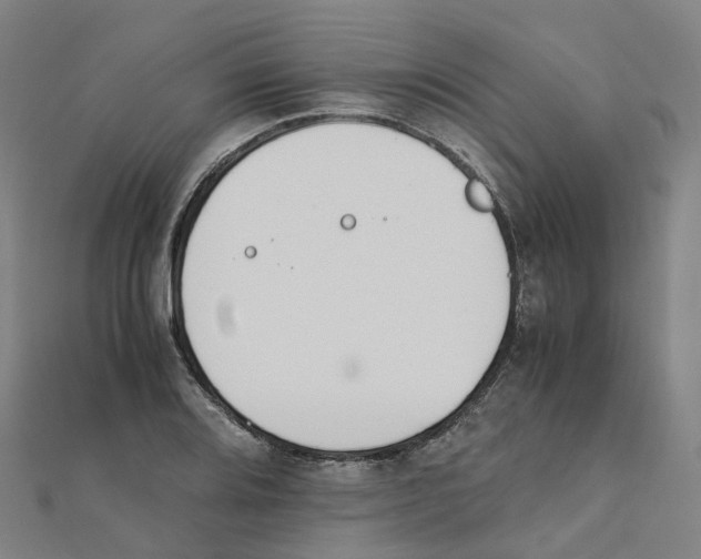 X0000111431080200908101111