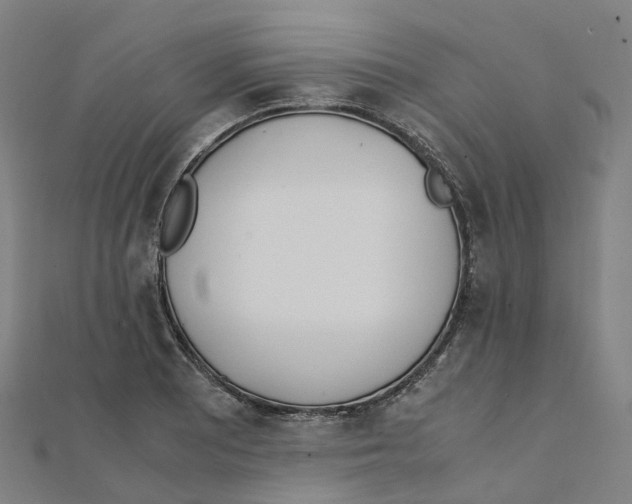 X0000111431081200908101111