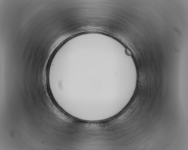 X0000111431082200908101111