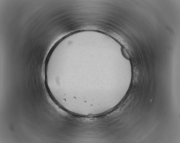 X0000111431084200908101111
