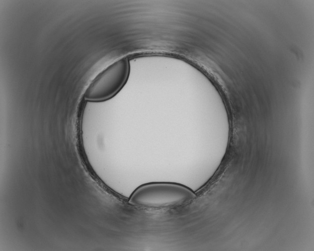 X0000111431085200908101111