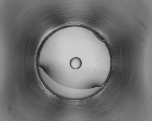X0000111431086200908101111