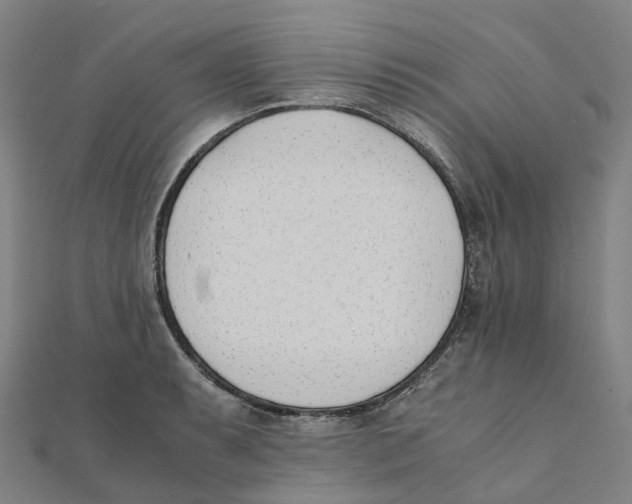 X0000111431087200908101111