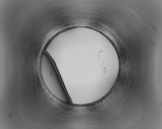 X0000111431088200908101111