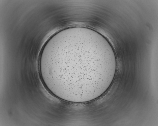 X0000111431090200908101111