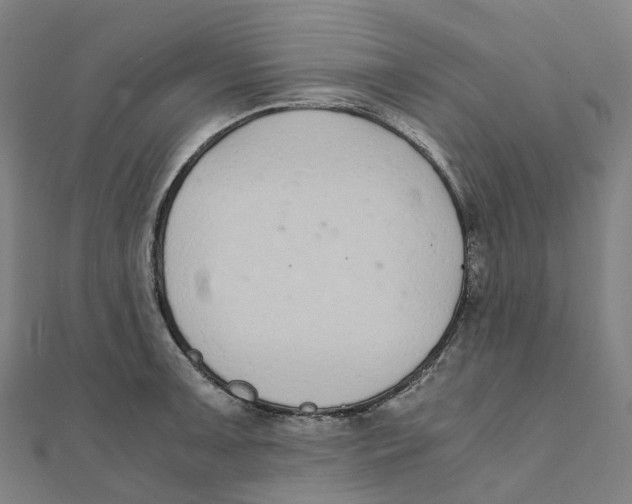 X0000111431091200908101111