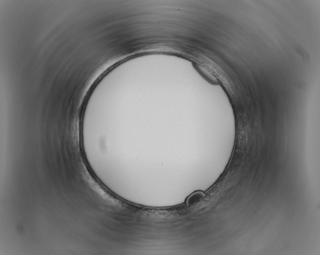 X0000111431092200908101111