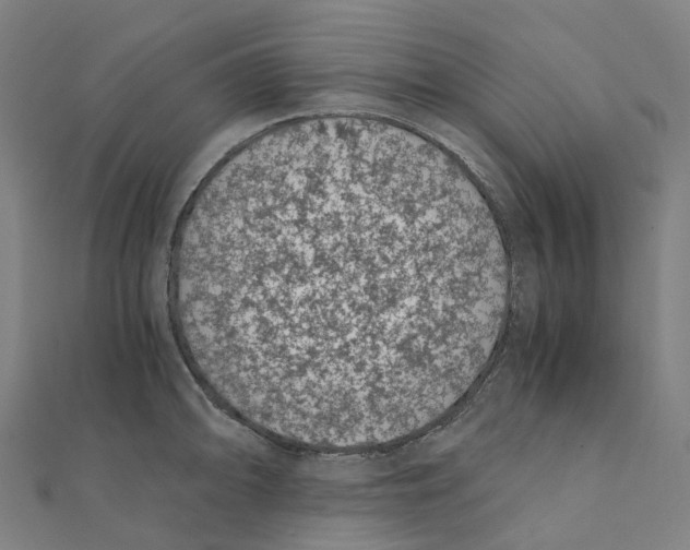 X0000111431094200908101111