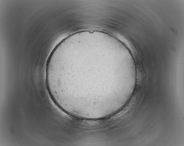 X0000111431095200908101111