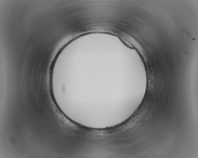 X0000111431096200908101111