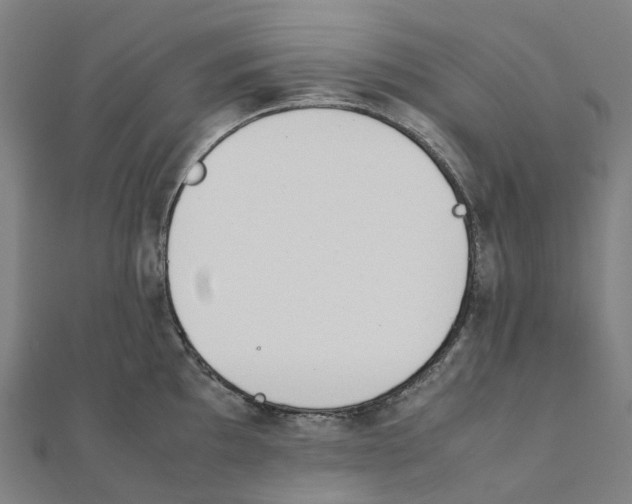 X0000111431097200908101111