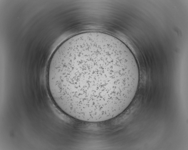 X0000111431098200908101111