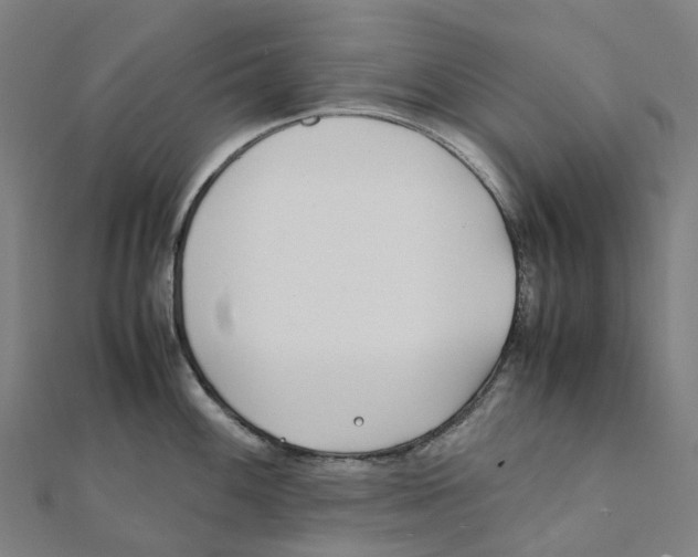 X0000111431100200908101111