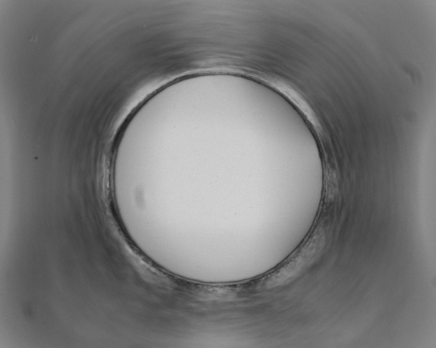 X0000111431101200908101111