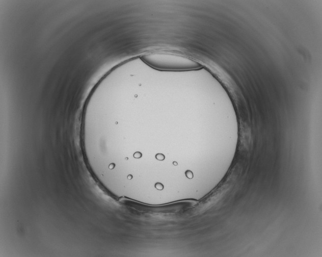 X0000111431102200908101111