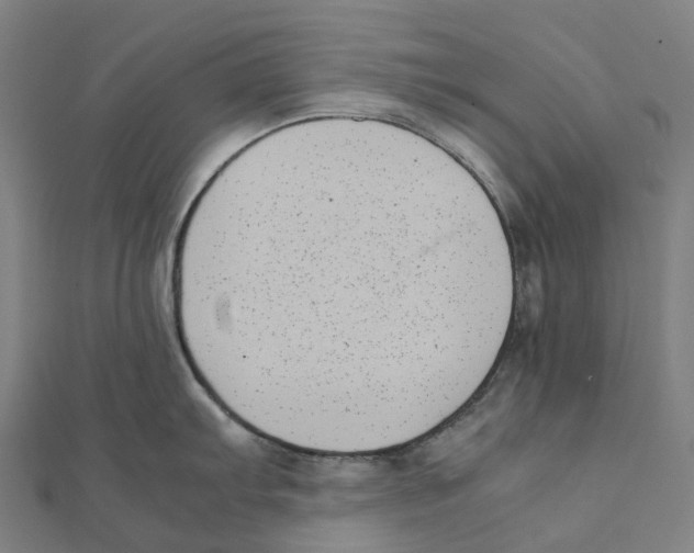 X0000111431103200908101111